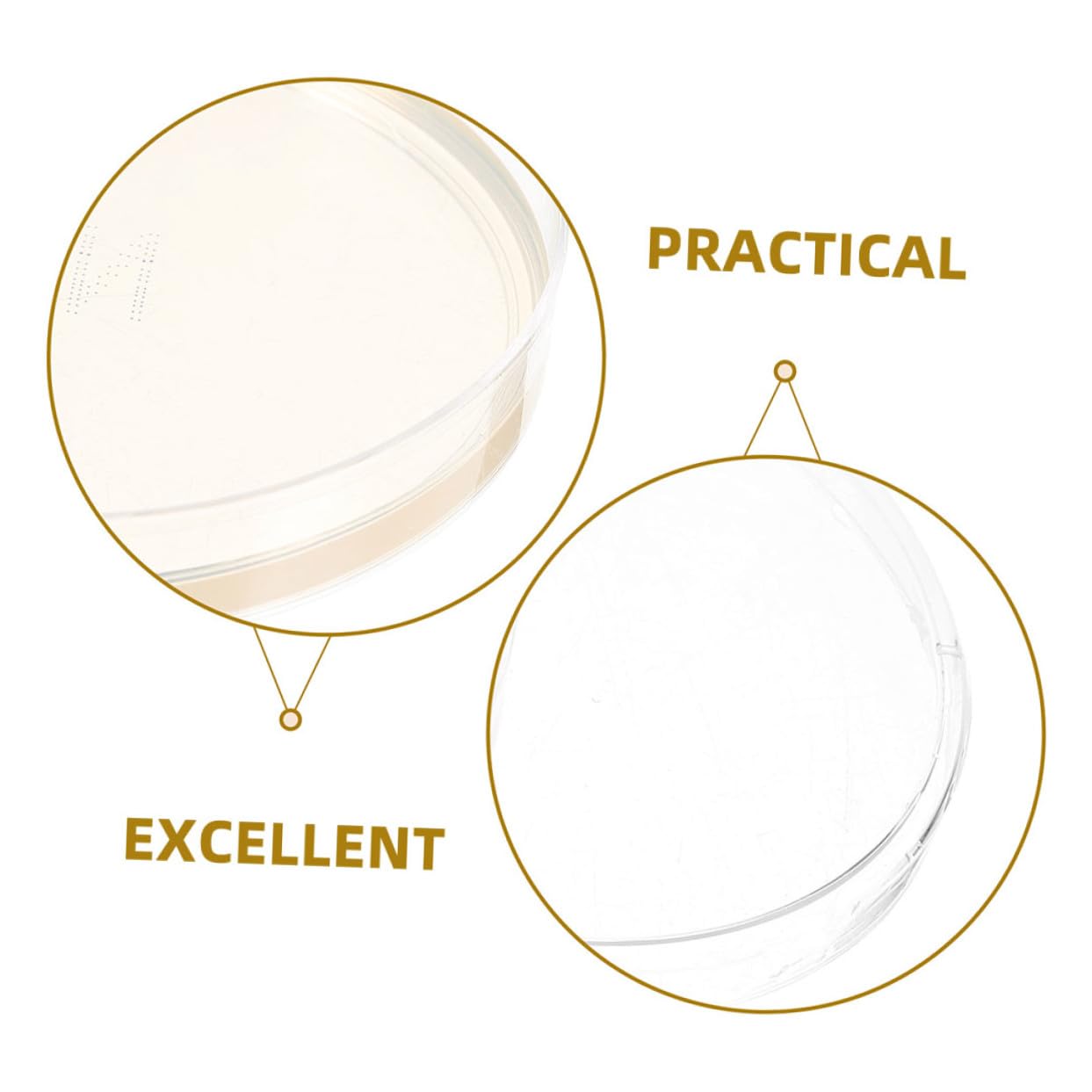 FRCOLOR 10pcs Tcbs Nutrient Agar Petri Dishes 6cm Prepoured Microbiology Culture Plates for Laboratory Use and Scientific Experiments