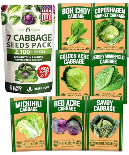 Image of HOME GROWN Cabbage Seeds 7 Variety Mix 2000+ Heirloom Non-GMO, High Germination, Bok Choy, Red & Green Acre, Savoy, Napa Michihili, Copenhagen Market, Jersey Wakefield, Cold Hardy