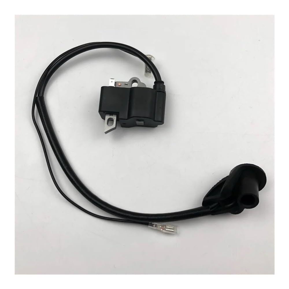 Bobine d'allumage résout les problèmes de démarrage sur FS200 FS250
