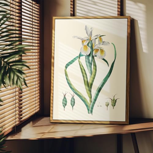 crmotu Floral Framed Wall Art, Iris Flower Botanical Prints, Still Life Aesthetic Vintage Pictures, Plant Canvas Wall Paintings for Living Room Bedroom Bathroom, Rustic Farmhouse Decor, 16x24 inch