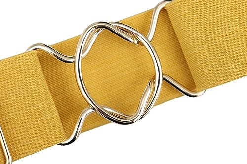 Equestrian Elastic Belt with Gold Circle buckle. Equestrian Gift. Show Belt.3