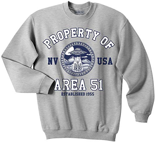 Area 51 Sweatshirt, Property of Area 51 Sweatshirt, UFO, Nevada Shirt, Alien
