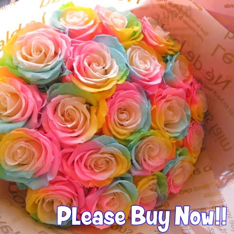 プリザーブドフラワー 薔薇 bloomart_pz8-594