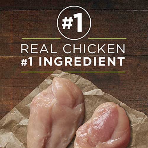 Image of Purina ONE Wet Dog Food True Instinct Classic Ground Grain-Free Formula With Real Chicken and Duck High Protein Dog Food - (Pack of 12) 13 oz. Cans