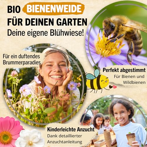 Little Plants Little Plants Bienenweide - 125g Bio Samen Bienenwiese - Blumenwiese Samen mehrjährig winterhart - Enthält 19 Sorten Wildblumensamen und Kräutersamen - Bienenwiese Saatgut - Nachhaltig verpackt - Detailansicht 2 | TV | Video | Foto