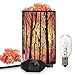 Salt Lamps, Natural Himalayan Salt Lamp, Forest Salt Lamp, Salt Night Lights, Salt Crystal Light with Retro Metal Basket Lamp and Extra 25W Lamp Bulbs
