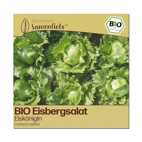 Samenliebe BIO Salat Samen | Eisbergsalat Eiskönigin - knackig - samenfestes BIO Saatgut