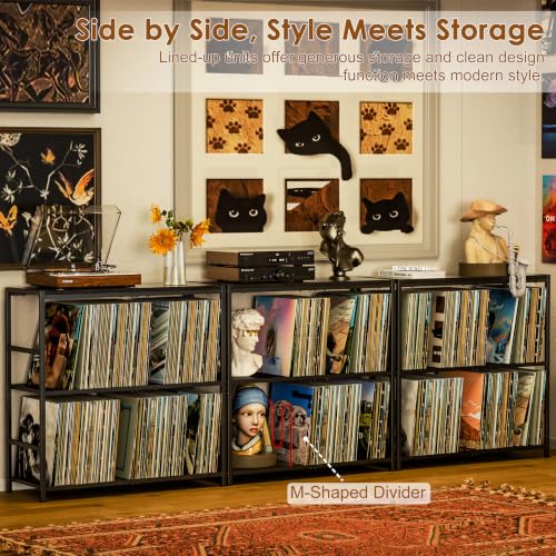 Sonyabecca 3-Tier Record Player Stand with Vinyl Storage, Black #TOP14