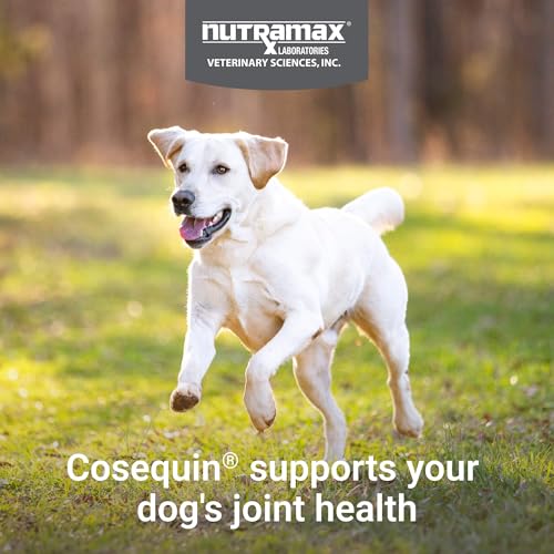 Image of Nutramax Cosequin for Dogs Joint Health Supplement, Contains Glucosamine for Dogs, Plus Chondroitin, MSM and HA, Supports Healthy Joints, Chewable Tablets, 150 Count
