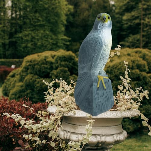 Effaroucheur d'oiseaux de jardin pour protéger votre potager