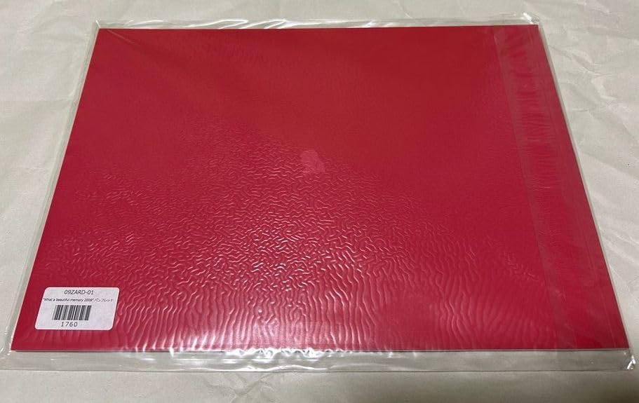 Amazon.co.jp: ZARD（ザード）What a beautiful memory 2009