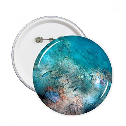 Bouton vêtements décoration cadeau poisson océan : lot éducatif et esthétique