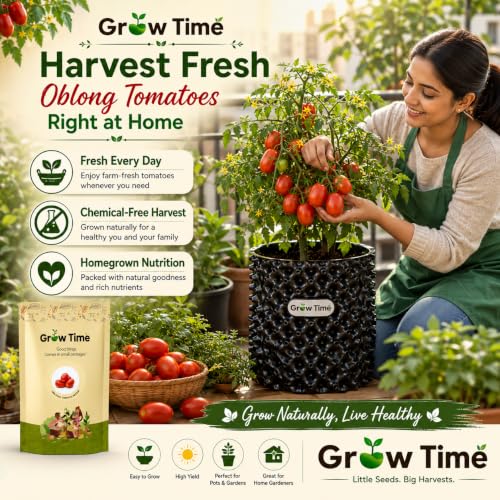 Image of Oblong Tomato Vegetable Seeds, Vegetable Seeds for Home Gardening, Vegetable Planting Seeds for Kitchen, Tomato Seeds (Pack of 2g)