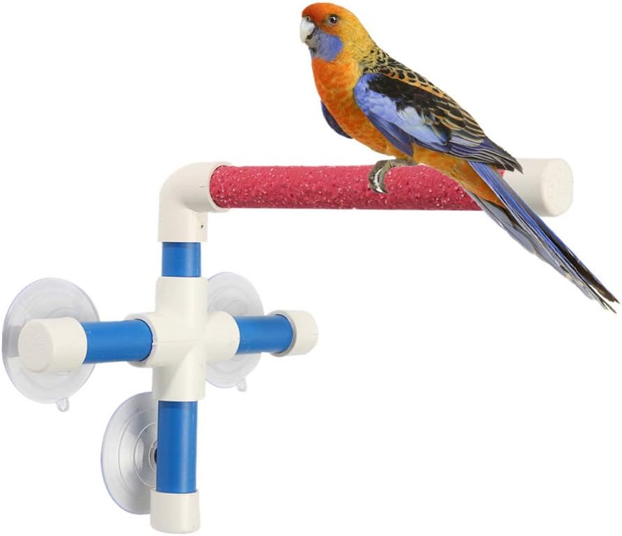 PIVBY Bird Perch Stand Portable Suction Cup Bird Window