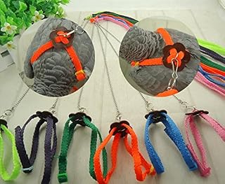F-P 1pcs Parrot Bird Pigeons Harness & Leash Anti-bite Adjustable Multicolor