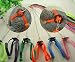 F-P 1pcs Parrot Bird Pigeons Harness & Leash Anti-bite Adjustable Multicolor