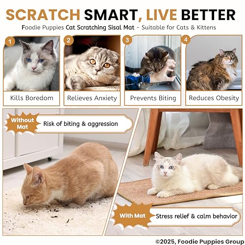 Image of Foodie Puppies Cat Scratching Sisal Mat for Indoor Cats & Kittens (62 x 41 cm), Natural Scratch Pad & Sleeping Mat, Non-Slip Durable Scratcher Rug, Furniture Protection