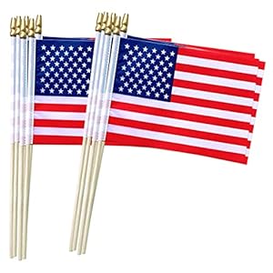 TSMD US American Stick Flags Small Mini USA Hand Held FlagsJuly 4th DecorationVeteran PartyMemorial Day5x8 Inch12 Pack