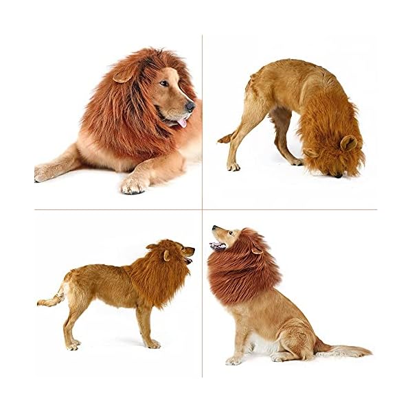 Dog lion mane - halloween realistic & funny lion mane for dogs - complementary lion mane for dog costumes - lion wig for medium to large sized dogs lion mane wig for dogs - image 6