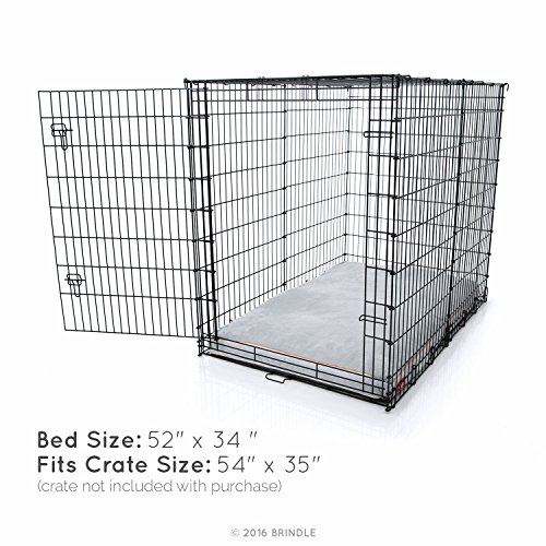 Brindle Shredded Memory Foam Dog Bed With Removable Washable Cover-Plush Orthopedic Pet Bed - 52 X 34 Inches - Stone #TOP3