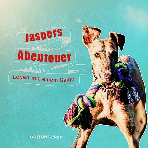 Couverture de Jaspers Abenteuer - Leben mit einem Galgo