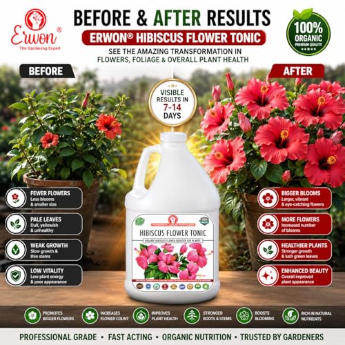 Image of Erwon Hibiscus Booster, Premium Essential Powerful Liquid Fertilizer for the Best Growth of Hibiscus Plants with Flowering Nutrients and Charged Micro-organism (500 ml)
