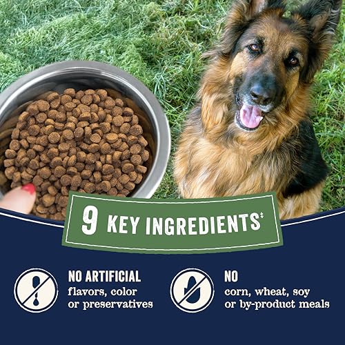 Canidae Pure Limited Ingredient, Premium Hundetrockenfutter für Senioren, echtes Huhn, Süßkartoffel & Garbanzobohnen Rezept, 10,0 kg, getreidefrei