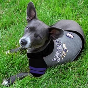 Pets First Nfl Baltimore Ravens Hoodie for Dogs  Cats Nfl Football Licensed Dog Hoody Tee Shirt Medium Sports Hoody Tshirt for Pets Licensed Sporty Dog Shirt  Cucciolini Doodles Pets first nfl baltimore ravens hoodie for dogs  cats Nfl football licensed dog hoody tee shirt medium Sports hoody t shirt for pets Licensed sporty dog shirt   cucciolini doodles