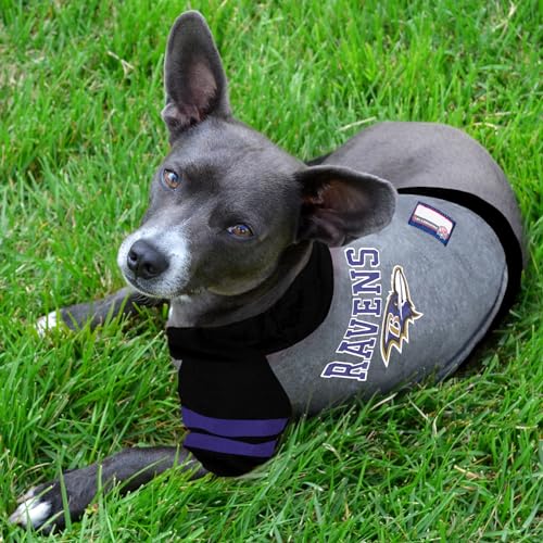 Pets First Nfl Baltimore Ravens Hoodie for Dogs  Cats Nfl Football Licensed Dog Hoody Tee Shirt Medium Sports Hoody Tshirt for Pets Licensed Sporty Dog Shirt  Cucciolini Doodles Pets first nfl baltimore ravens hoodie for dogs  cats Nfl football licensed dog hoody tee shirt medium Sports hoody t shirt for pets Licensed sporty dog shirt   cucciolini doodles