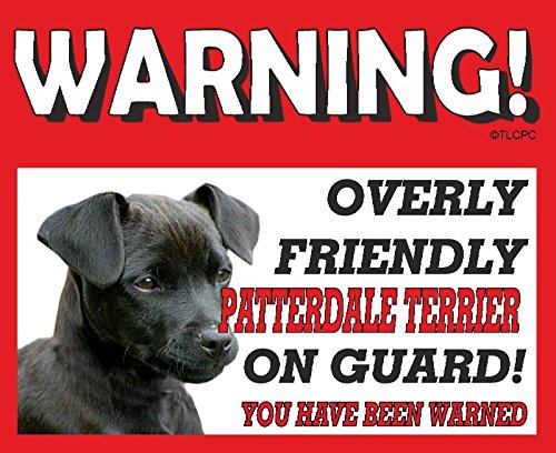 The Lazy Cow - Targhetta in metallo cane da