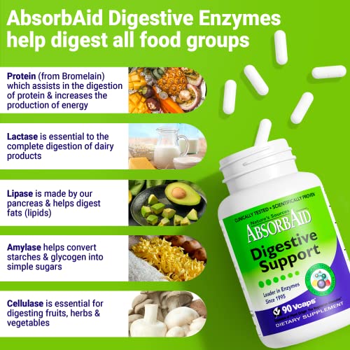 Nature's Sources Absorbaid Digestive Support - 90 Vcaps #TOP5
