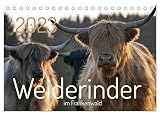 Weiderinder im Frankenwald (Tischkalender 2023 DIN A5 quer), Calvendo Monatskalender - Cordula Kelle-Dingel 