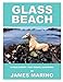Glass Beach: A Field Survey / Fort Bragg, California