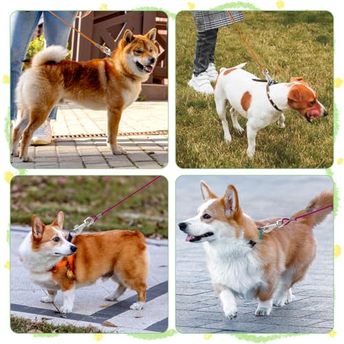 2 Stück Hausleine für Hunde Hundeleine 2 ft Hausleine Hundeleine Leinen für Hunde Kausichere Hundeleinen für mittelgroße und kleine zum Joggen und Spazierengehen(Silber & Schwarz)