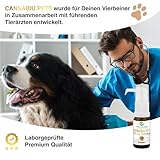GLOBAL NATUREON® Cannabiu Pets Relax-Tropfen Lachsöl & Hanföl 500mg für Hunde und Katzen aus Samen, Tropfen für Reisen, Tierarztbesuche, Lärm und Fellpflege, Omega 3,6 & 9, 100% Natürlich