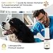 GLOBAL NATUREON® Cannabiu Pets Relax-Tropfen Lachsöl & Hanföl 500mg für Hunde und Katzen aus Samen, Tropfen für Reisen, Tierarztbesuche, Lärm und Fellpflege, Omega 3,6 & 9, 100% Natürlich