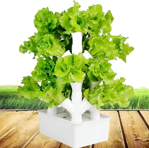Culture hydroponique verticale pour cultiver ses légumes sans jardin ni terre