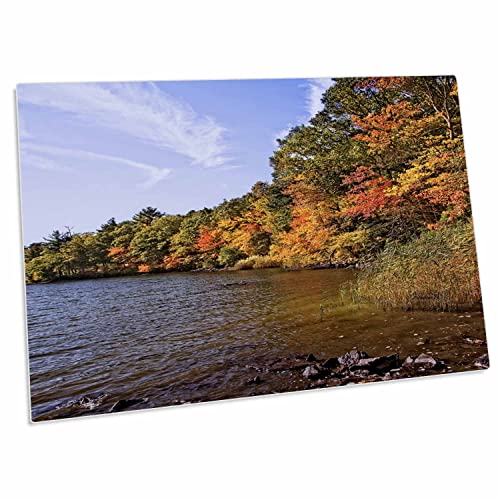 3dRose Pond with Autumn Shoreline - Desk Pad Place Mats miniatura 1