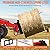 49" Hay Spear Attachment, Bale Spears 3000lbs Loading Capacity, Quick Attach for Bobcat Tractors & Skid Steer Loader with 1pc 49" Red Hay Spear & 2pcs 17" Black Stabilizer Spears Spike Fork Tine