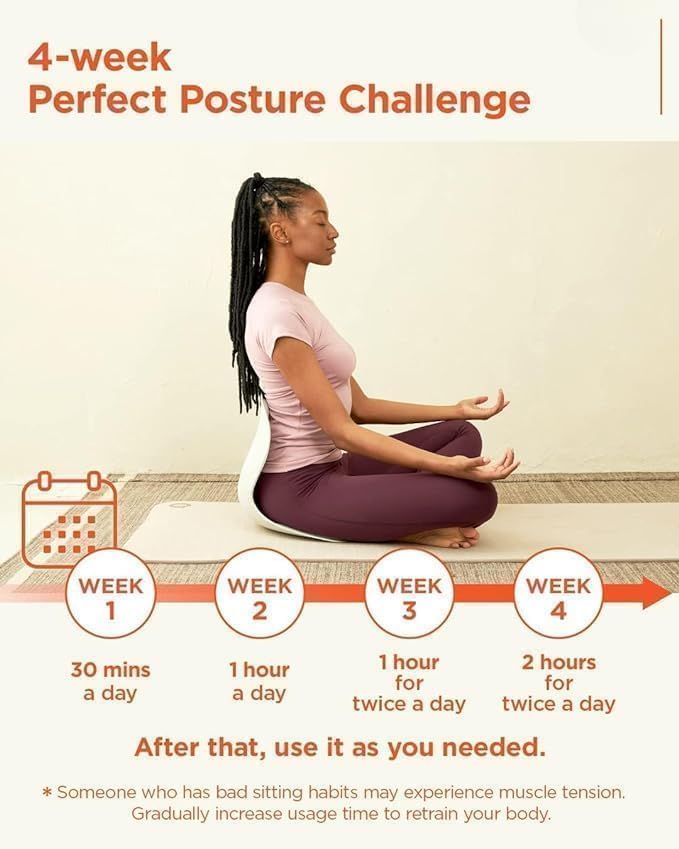 Image of Flygon Lower Back Support Chair Posture Corrector for Kids & Adults - Ergonomic Cushion for Floor Seats & Office - Multicolor - Orthopedic Body Positioner with Lumbar Support