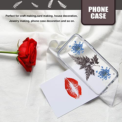 Hojas de helecho prensadas naturales para manualidades 42 pcs miniatura 5