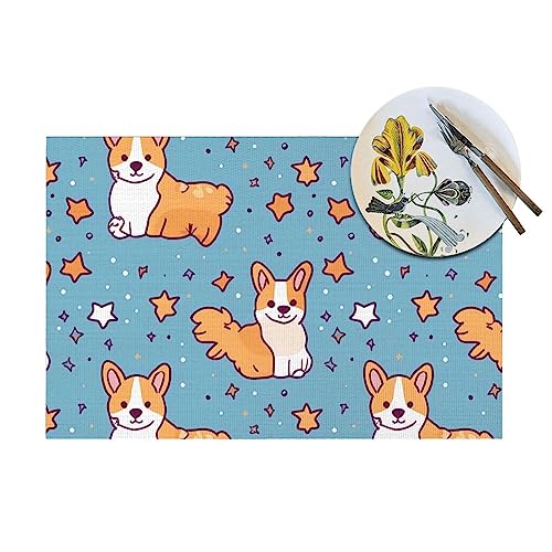 Sets de table en PVC imperméable contre la chaleur - 6