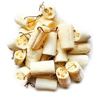 Mr.Cui’shop 24 Pack Bulk 4...