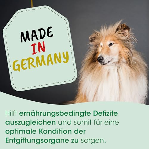 cdVet Naturprodukte Fell & Haut Vital Hund & Katze 750g - Natürliches Ergänzungsfuttermittel für Fell & Haut, Hunde, Katzen