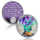 YRCKUDZKG Guided by Northern Lights 1 Year Sobriety Coin - One Day at a Time AA Coin, Alcohol Free One Year Recovery Chip with Token Capsule, Sobriety Gifts for Men Women