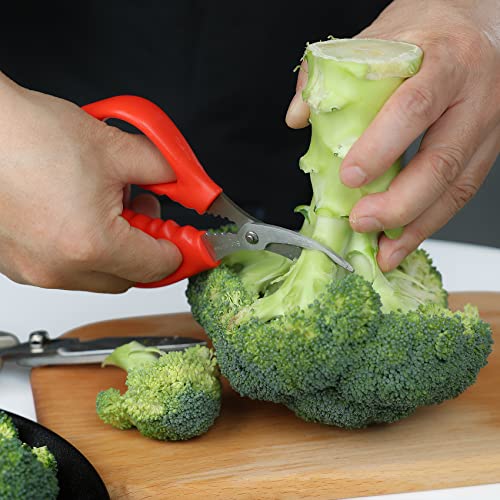 6-inch Multi-Function Kitchen Shears Seafood Scissors for Kitchen Seafood,Fish,Crab,Shrimp ,Lobster,Vegetable picking,flower art etc