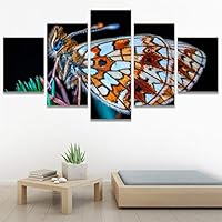 SIGNWIN 5 Panel Canvas Wall Art Birds Butterfly Closeup Colorful Contemporary Home Office Modern Art Multicolor Photography for Home Decorations Ready to Hang - 60
