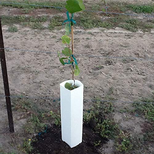 Grape Vine Planting Shelter 5 Pack