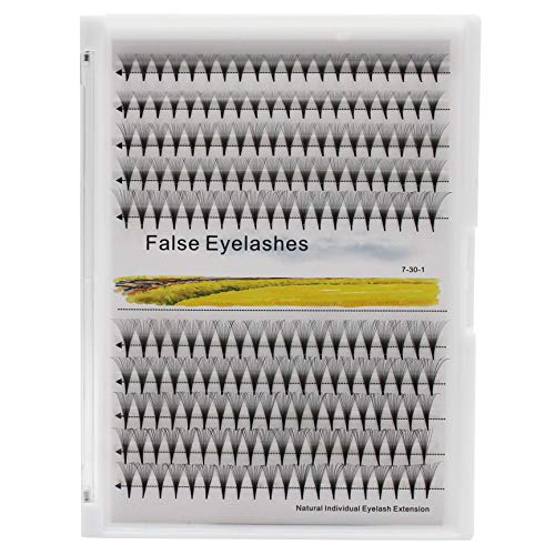 Large Tray-Dedila Long Stem 14D Natural Individual False Eyelashes Mixed 8-10-12-14Mm/10-12-14-16Mm/12-13-15-16Mm/12-14-16Mm/14-15-16Mm Premade Fans Volume Eye Lashes Extensions (10-12-14-16Mm) #TOP17