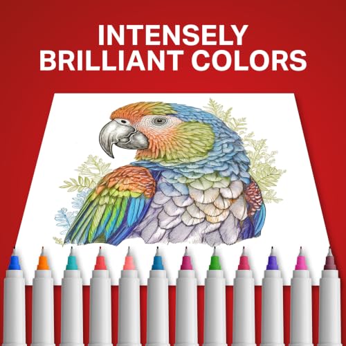 Image of Sharpie Color Burst Permanent Markers, Ultra-Fine Tip, 24 Count - Writing, Drawing, Arts & Crafts, Teacher Supplies